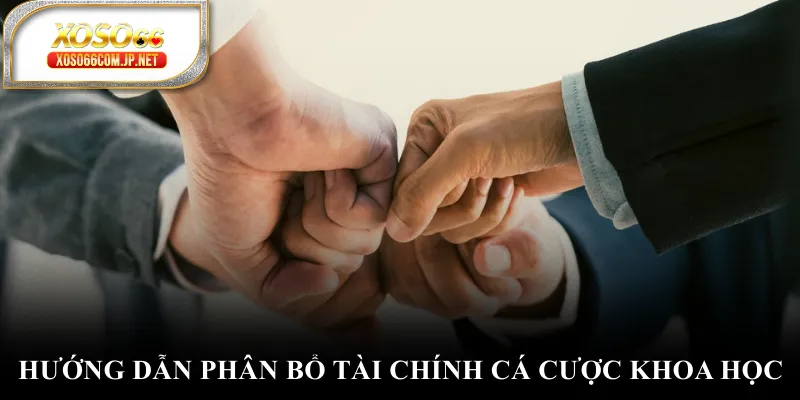Hướng dẫn phân bổ tài chính cá cược khoa học
